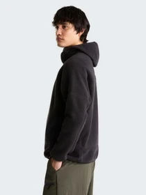 Худи и свитшоты The North Face M NSE FULL ZIP MASK FLEECE модель NF0A8J6QJK31 Фото