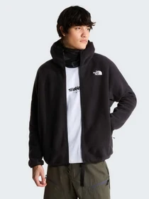 Худи и свитшоты The North Face M NSE FULL ZIP MASK FLEECE модель NF0A8J6QJK31 Фото
