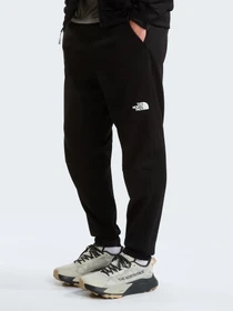 Брюки The North Face M MOUNTAIN ATHLETICS FLEECE PA модель NF0A8J8DJK31 Фото