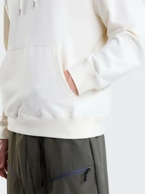 Худі та світшоти The North Face U EXPLORER BADGES RELAXED HOOD модель NF0A8JA2QLI1 Фото