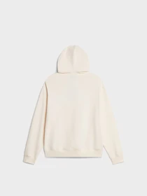 Худі та світшоти The North Face U EXPLORER BADGES RELAXED HOOD модель NF0A8JA2QLI1 Фото