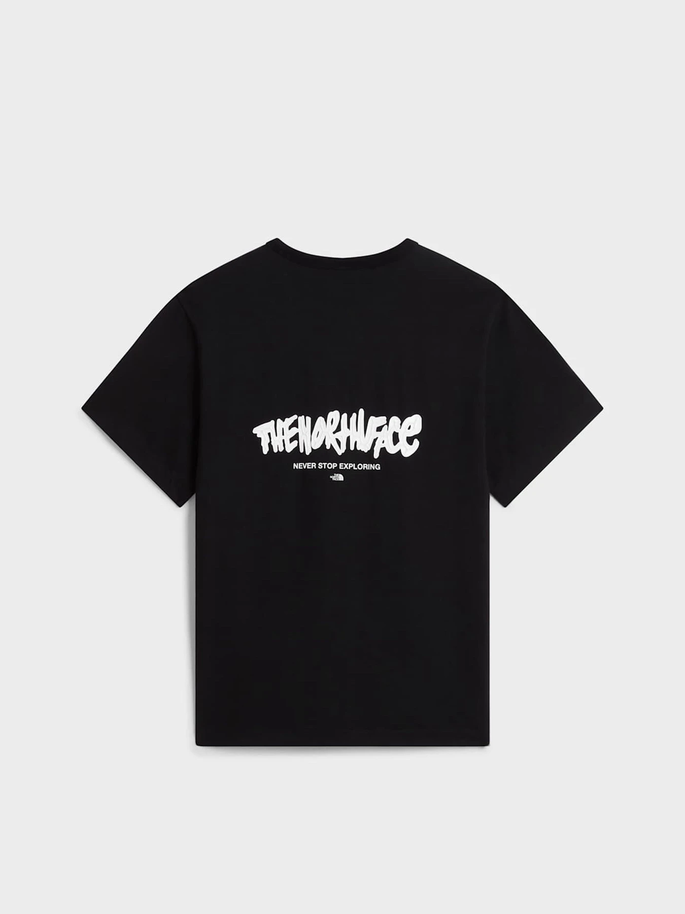 Футболки и поло The North Face U TNF TAG RELAXED SHORT SLEEVE модель NF0A8JA6JK31 Фото