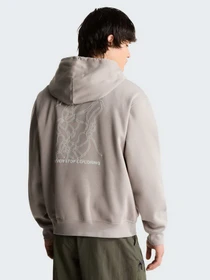 Худи и свитшоты The North Face U NSE SLOPES RELAXED HOODIE - модель NF0A8JA72MB1 Фото