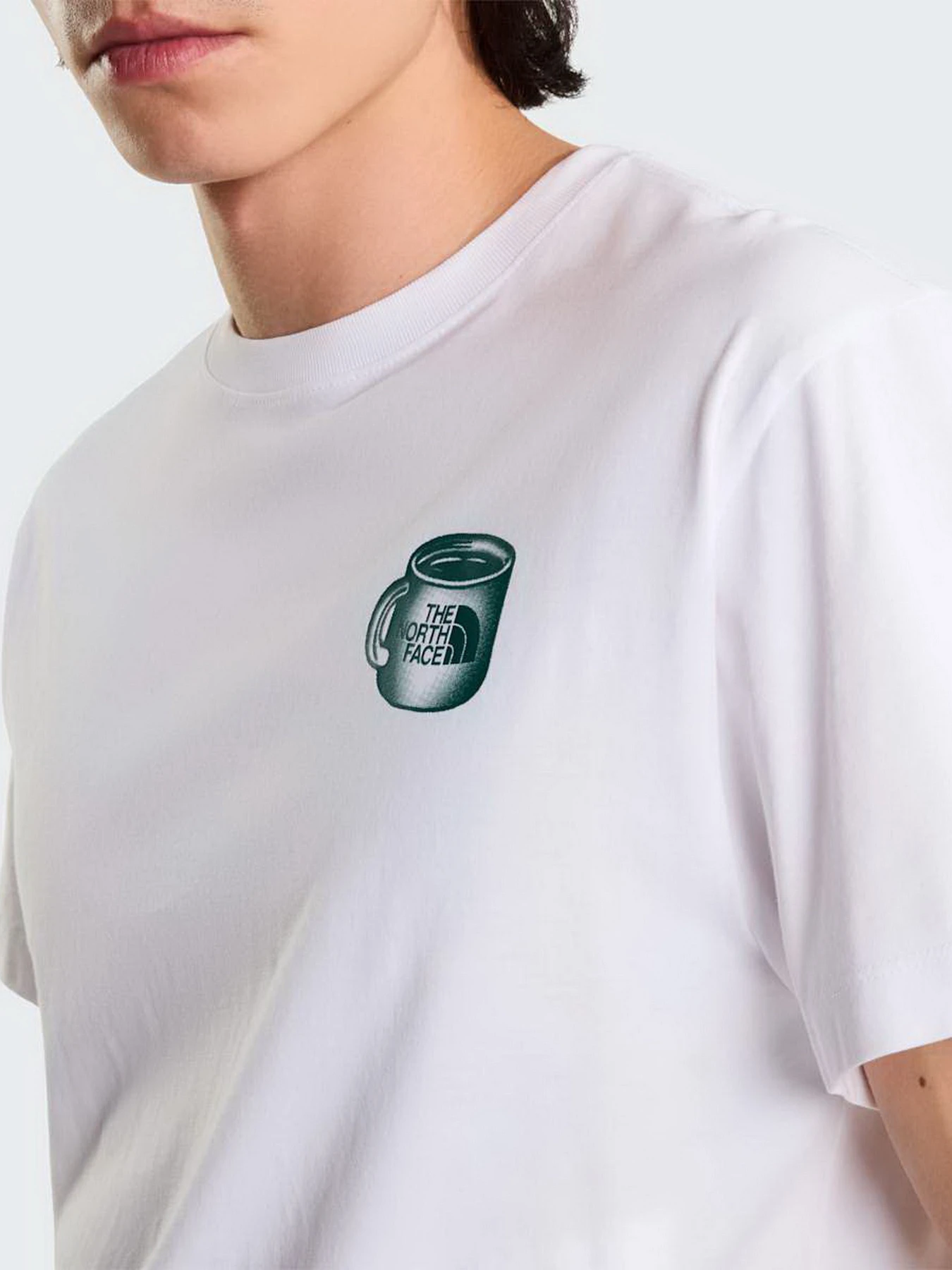 Футболки и поло The North Face U BASECAMP BARISTA RELAXED SHO модель NF0A8JAAVD91 Футболки и поло The North Face U BASECAMP BARISTA RELAXED SHO модель NF0A8JAAVD91 Фото