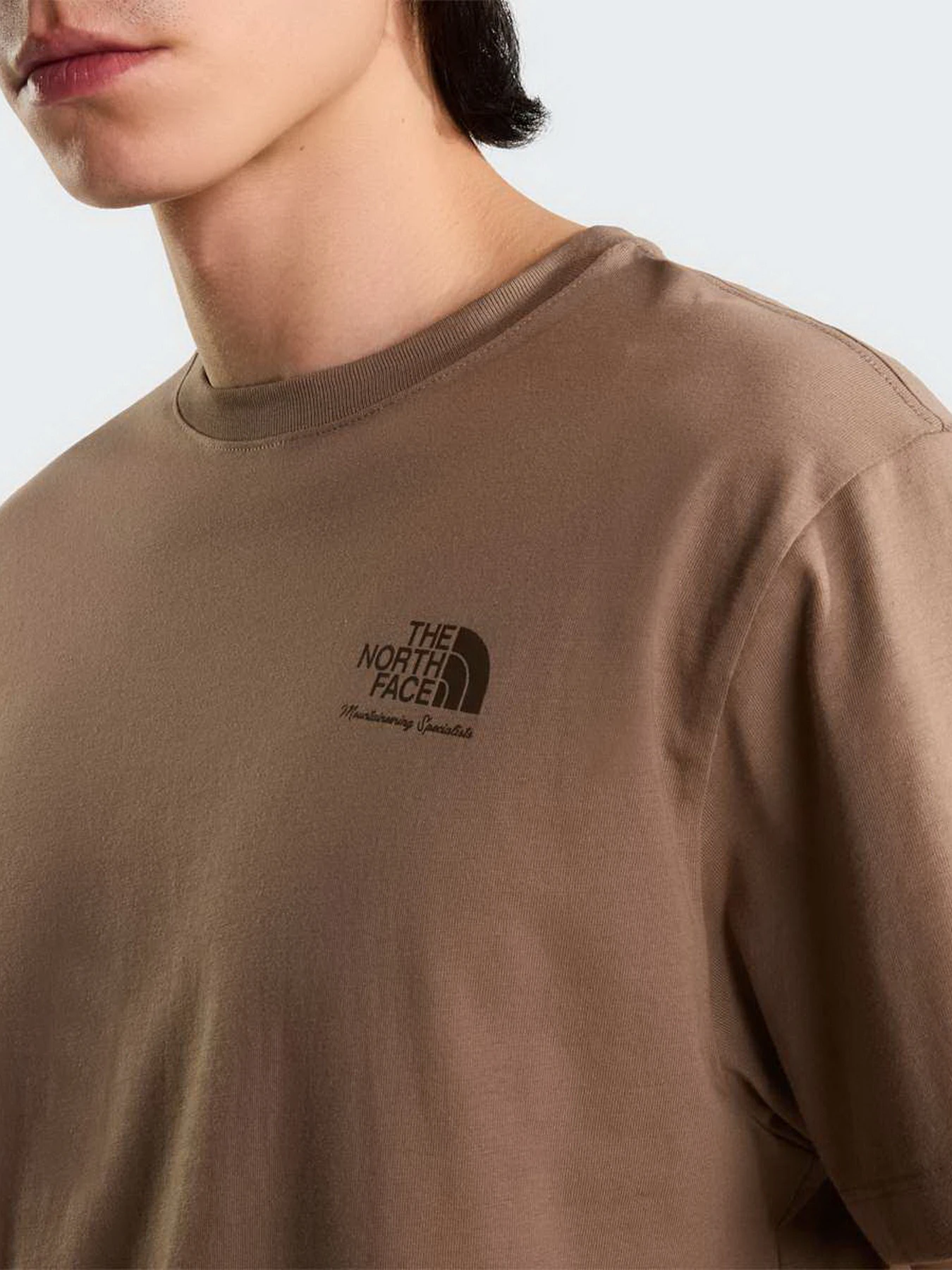 Футболки и поло The North Face U OG STORE RELAXED SHORT SLEEV модель NF0A8JAC2H91 Футболки и поло The North Face U OG STORE RELAXED SHORT SLEEV модель NF0A8JAC2H91 Фото