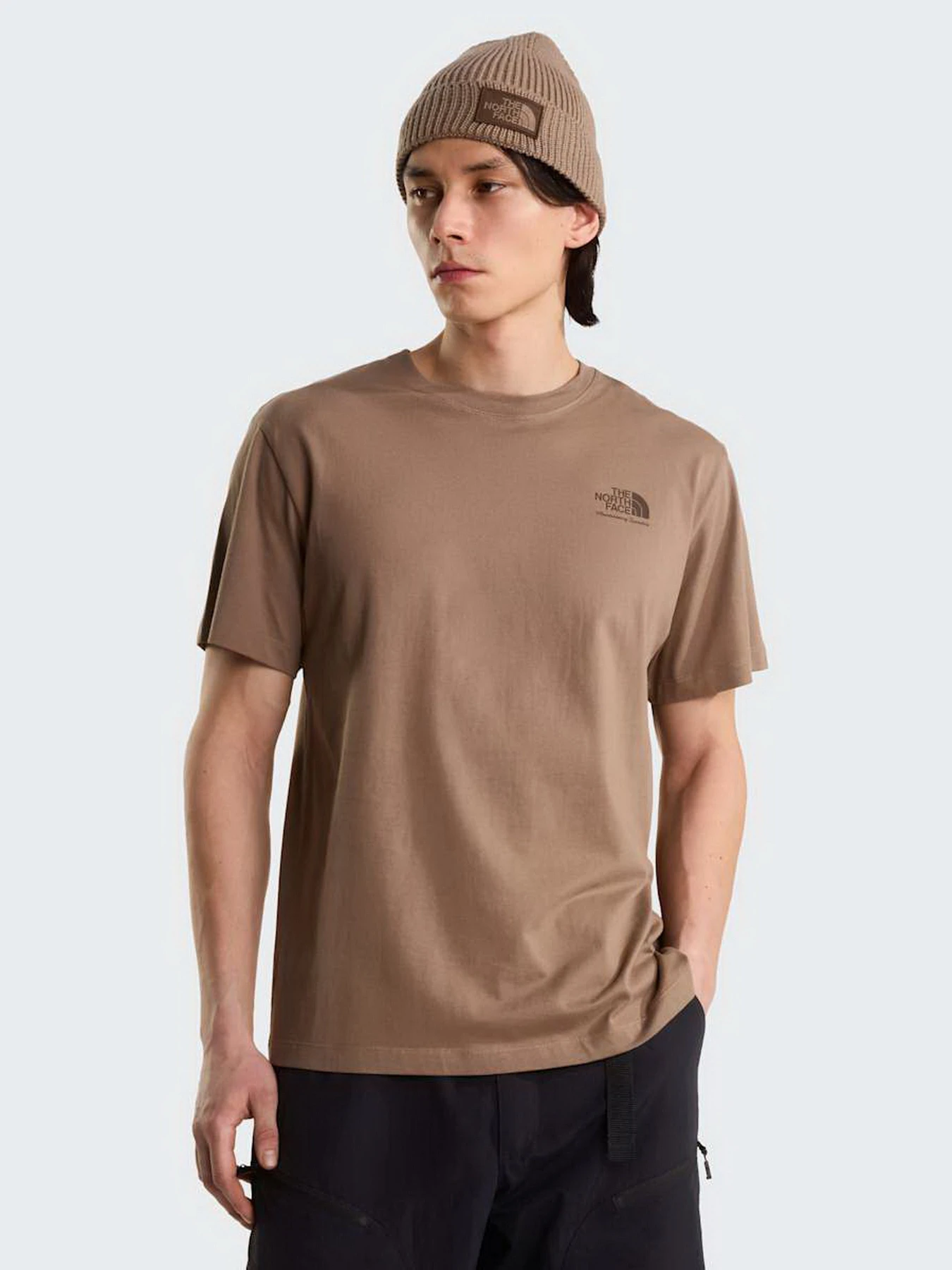 Футболки и поло The North Face U OG STORE RELAXED SHORT SLEEV модель NF0A8JAC2H91 Футболки и поло The North Face U OG STORE RELAXED SHORT SLEEV модель NF0A8JAC2H91 Фото