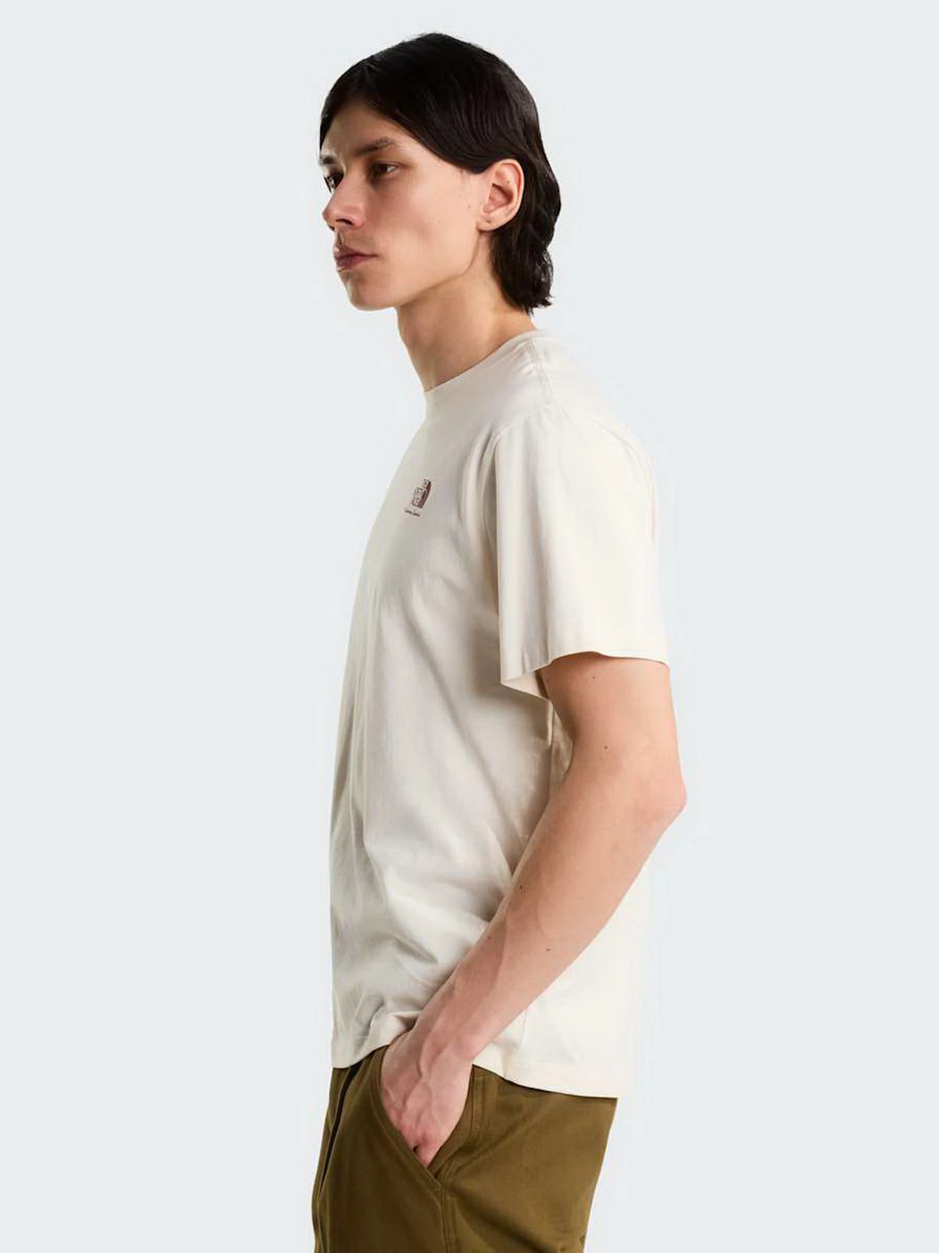 Футболки и поло The North Face U OG STORE RELAXED SHORT SLEEV модель NF0A8JACQLI1 Футболки и поло The North Face U OG STORE RELAXED SHORT SLEEV модель NF0A8JACQLI1 Фото