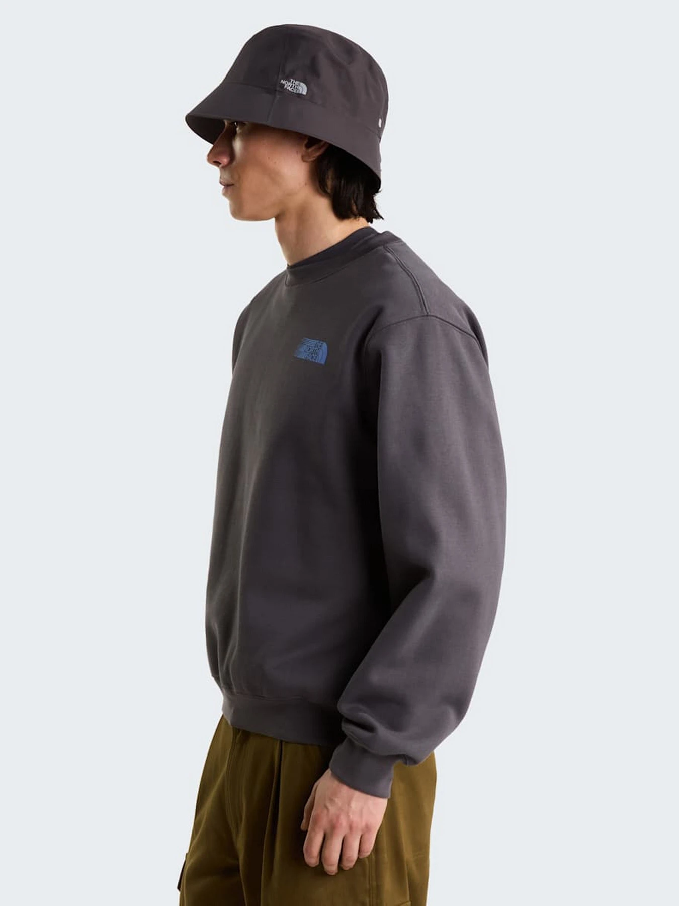 Худи и свитшоты The North Face M RETRO TRAIL RELAXED CREW - G модель NF0A8JAFRHI1 Фото