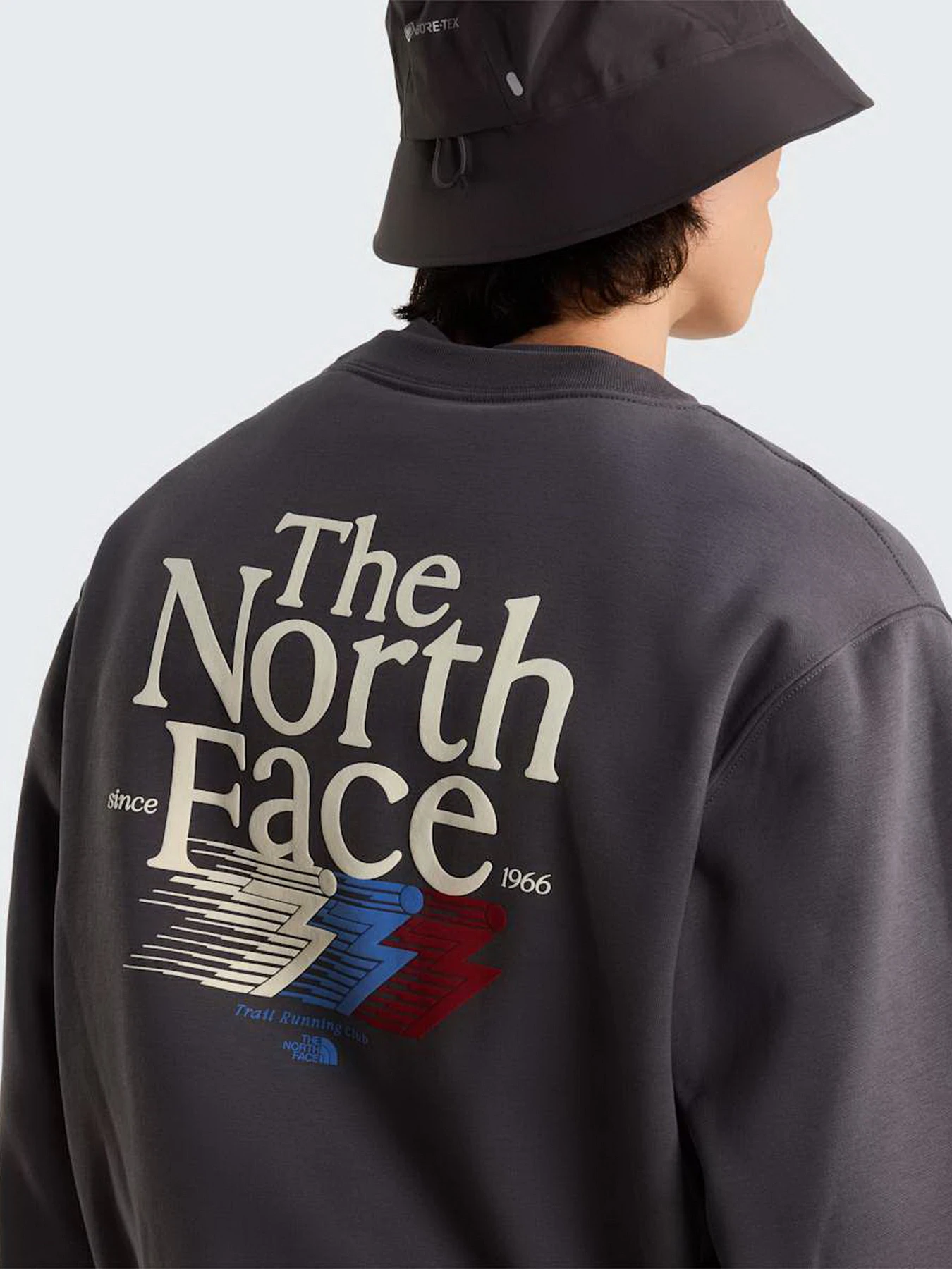 Худи и свитшоты The North Face M RETRO TRAIL RELAXED CREW - G модель NF0A8JAFRHI1 Фото