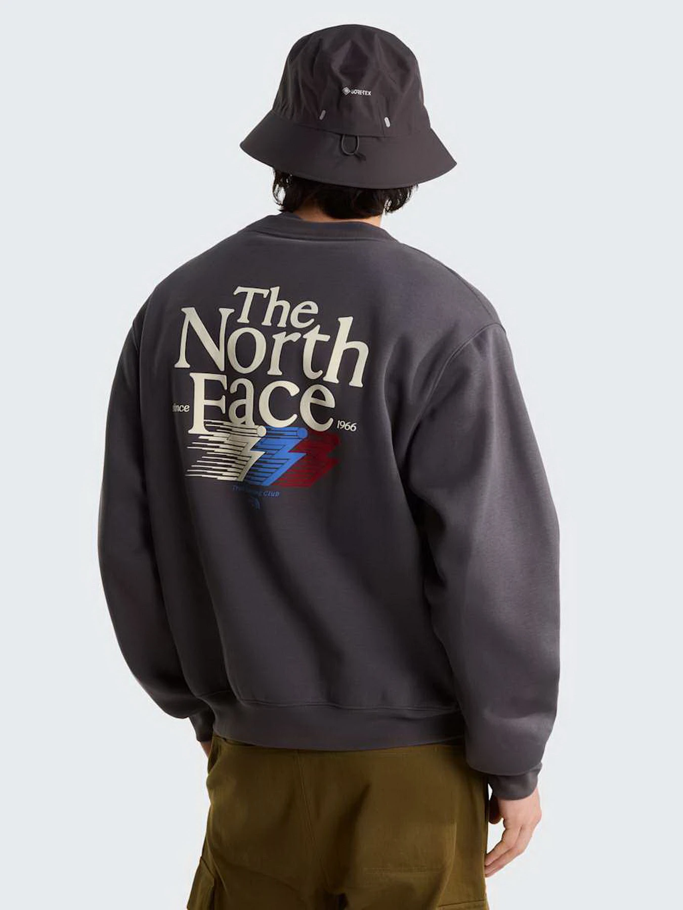 Худи и свитшоты The North Face M RETRO TRAIL RELAXED CREW - G модель NF0A8JAFRHI1 Фото