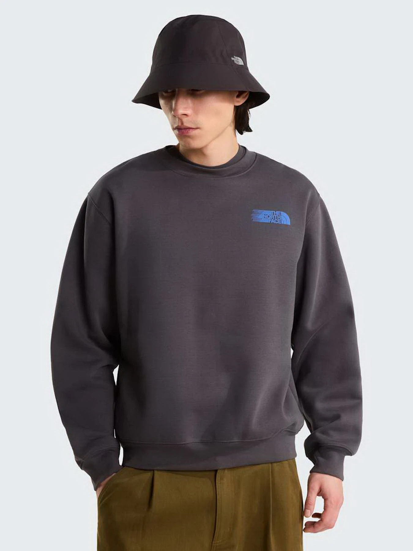 Худи и свитшоты The North Face M RETRO TRAIL RELAXED CREW - G модель NF0A8JAFRHI1 Фото