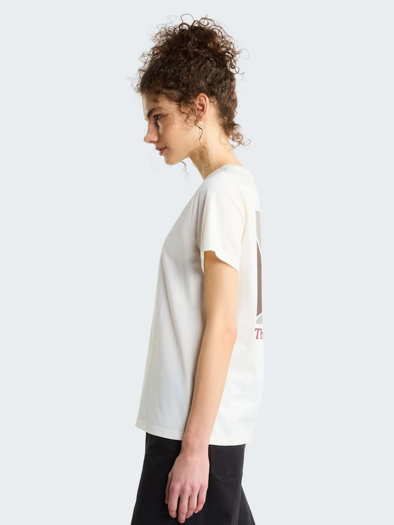 Футболки и поло The North Face W MONTE REGULAR SHORT SLEEVE T модель NF0A8JAWQLI1 Фото