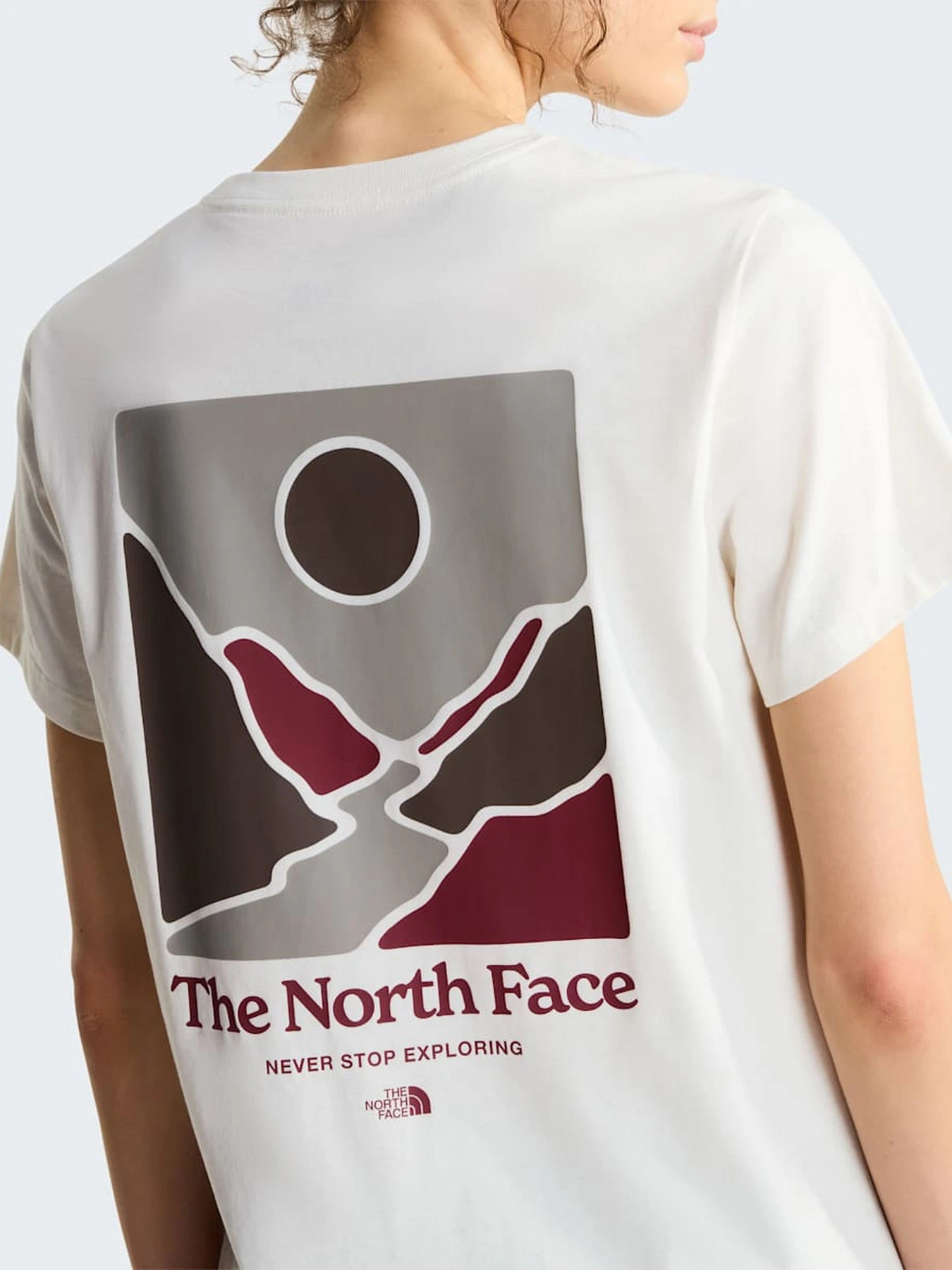 Футболки и поло The North Face W MONTE REGULAR SHORT SLEEVE T модель NF0A8JAWQLI1 Фото