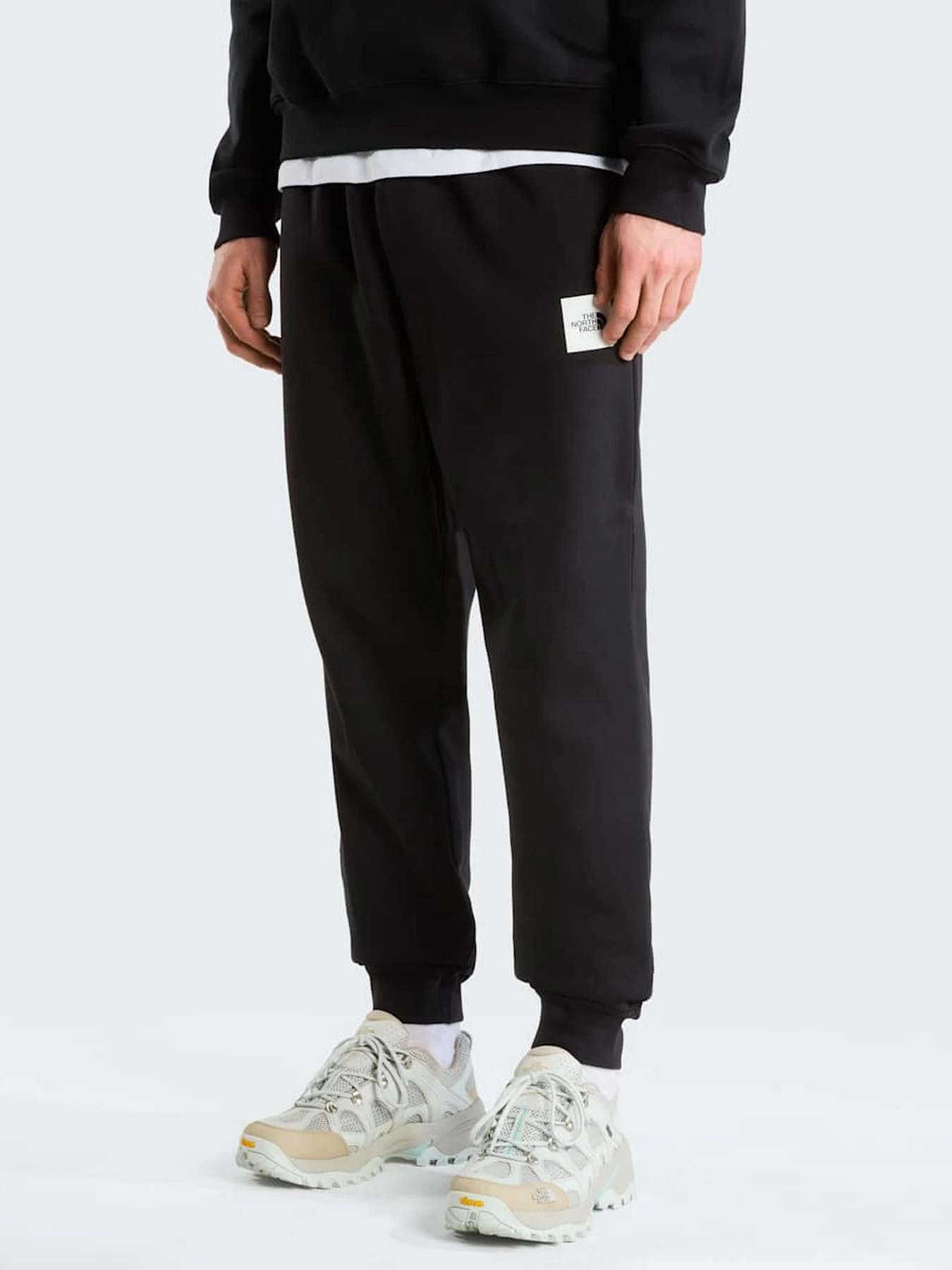 Брюки The North Face M BOX HALF DOME REGULAR TAPERE модель NF0A8JB0JK31 Фото