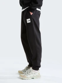 Брюки The North Face M BOX HALF DOME REGULAR TAPERE модель NF0A8JB0JK31 Фото