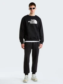 Брюки The North Face M BOX HALF DOME REGULAR TAPERE модель NF0A8JB0JK31 Фото