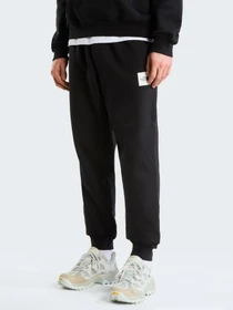 Брюки The North Face M BOX HALF DOME REGULAR TAPERE модель NF0A8JB0JK31 Фото