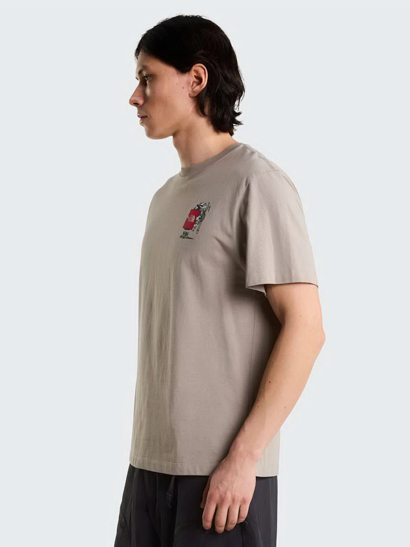 Футболки и поло The North Face U GEAR UP GET OUT RELAXED SHOR модель NF0A8JB42MB1 Футболки и поло The North Face U GEAR UP GET OUT RELAXED SHOR модель NF0A8JB42MB1 Фото