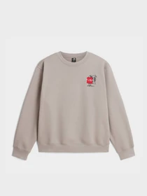 Худи и свитшоты The North Face U GEAR UP GET OUT RELAXED CREW модель NF0A8JB52MB1 Фото