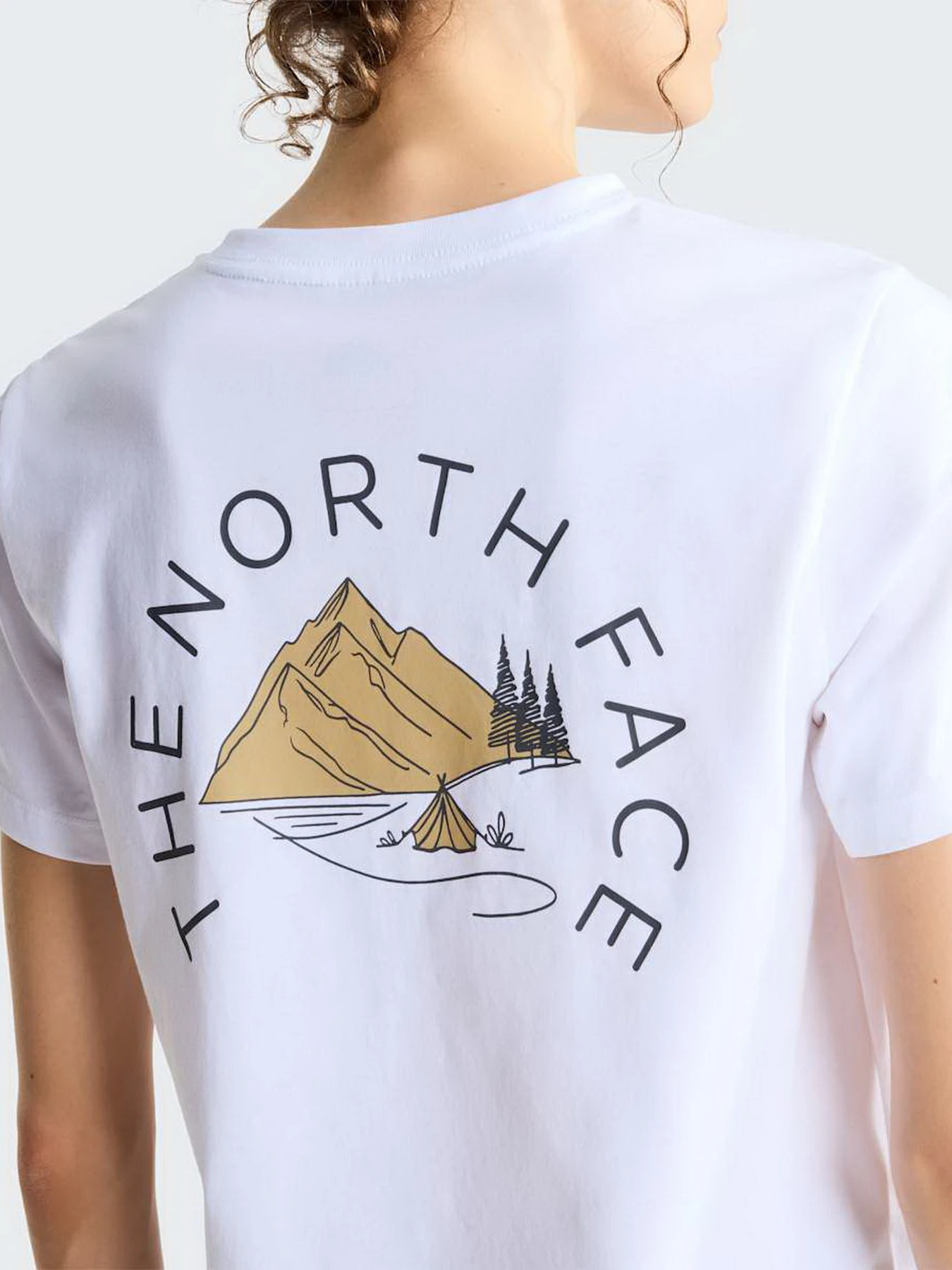 Футболки и поло The North Face W MOUNTAINSCAPE REGULAR SS TEE модель NF0A8JB7FN41 Фото