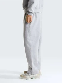 Брюки The North Face M ESSENTIAL SIMPLE DOME RELAXE модель NF0A8JBBCQO1 Фото