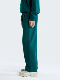 Штани The North Face M ESSENTIAL SIMPLE DOME RELAXE модель NF0A8JBBN4J1 Фото
