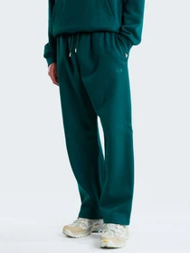 Штани The North Face M ESSENTIAL SIMPLE DOME RELAXE модель NF0A8JBBN4J1 Фото