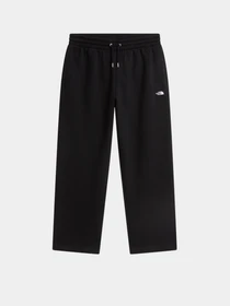 Штани The North Face M ESSENTIAL SIMPLE DOME RELAXE модель NF0A8JBBJK31 Фото