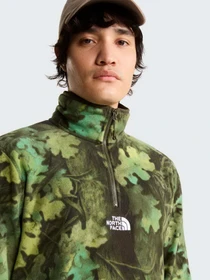 Худи и свитшоты The North Face M NOVELTY LOGO GLACIER 1/4 ZIP модель NF0A8JK8SS11 Фото