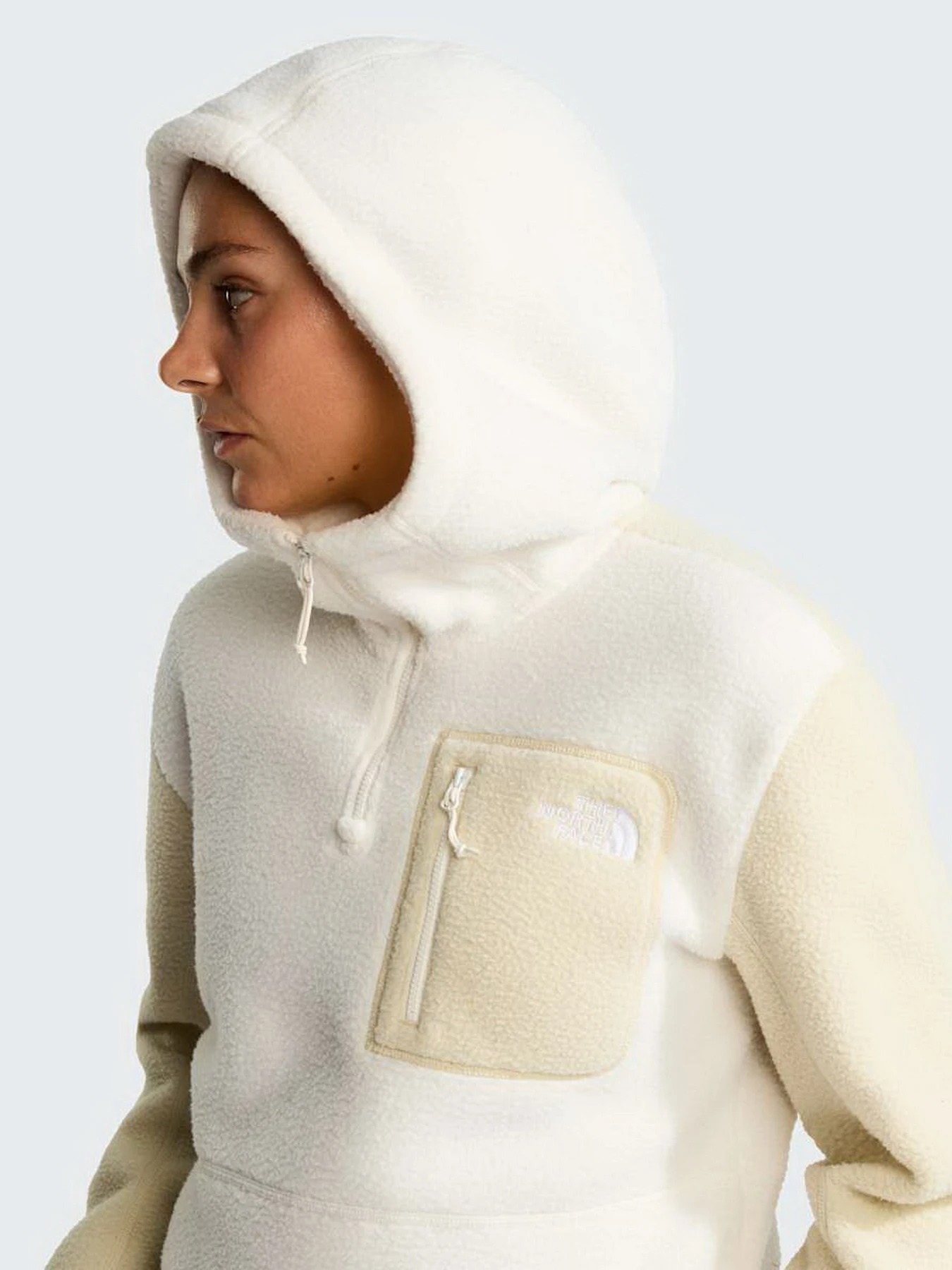 Худі та світшоти The North Face W YUMIORI 1/4 ZIP HOOD NOVELTY модель NF0A8KPRJN51 Худі та світшоти The North Face W YUMIORI 1/4 ZIP HOOD NOVELTY модель NF0A8KPRJN51 Фото