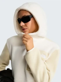 Худі та світшоти The North Face W YUMIORI 1/4 ZIP HOOD NOVELTY модель NF0A8KPRJN51 Фото