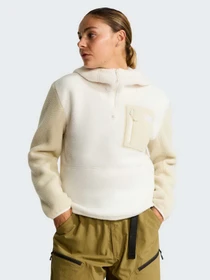 Худі та світшоти The North Face W YUMIORI 1/4 ZIP HOOD NOVELTY модель NF0A8KPRJN51 Фото