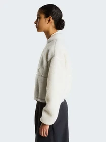 Худи и свитшоты The North Face W EXTREME PILE 2 FZ JACKET модель NF0A8KQYQLI1 Фото