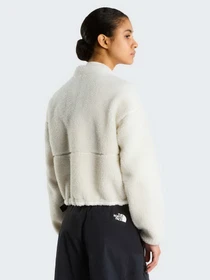 Худи и свитшоты The North Face W EXTREME PILE 2 FZ JACKET модель NF0A8KQYQLI1 Фото