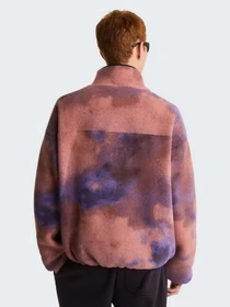 Худи и свитшоты The North Face M TNF RED BOX PRINTED 1/2 ZIP модель NF0A8KRBR241 Фото