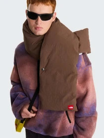 Худи и свитшоты The North Face M TNF RED BOX PRINTED 1/2 ZIP модель NF0A8KRBR241 Фото