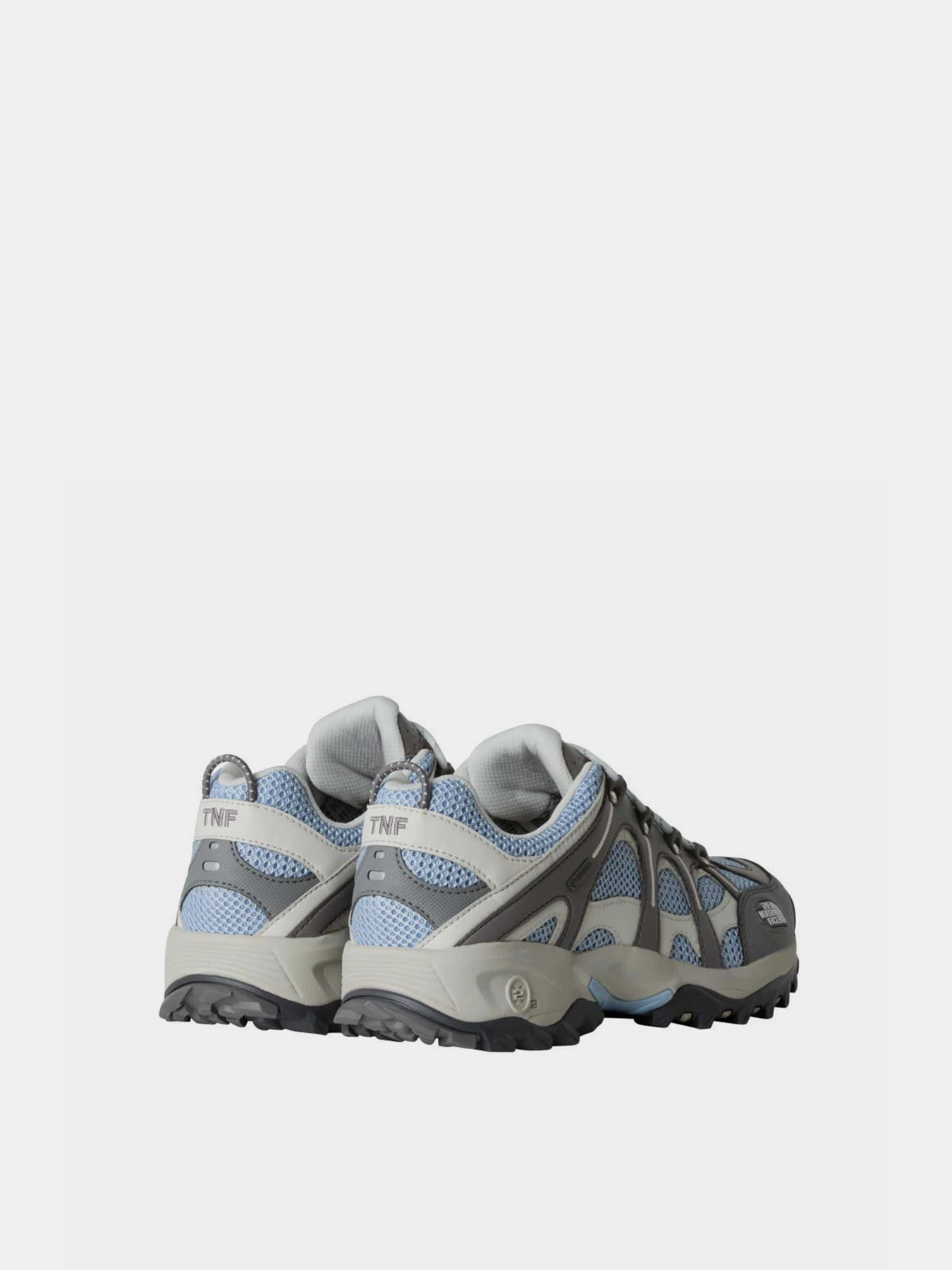 Кросівки The North Face HEDGEHOG 06 GORE-TEX модель NF0A8ADXMIP1 Фото
