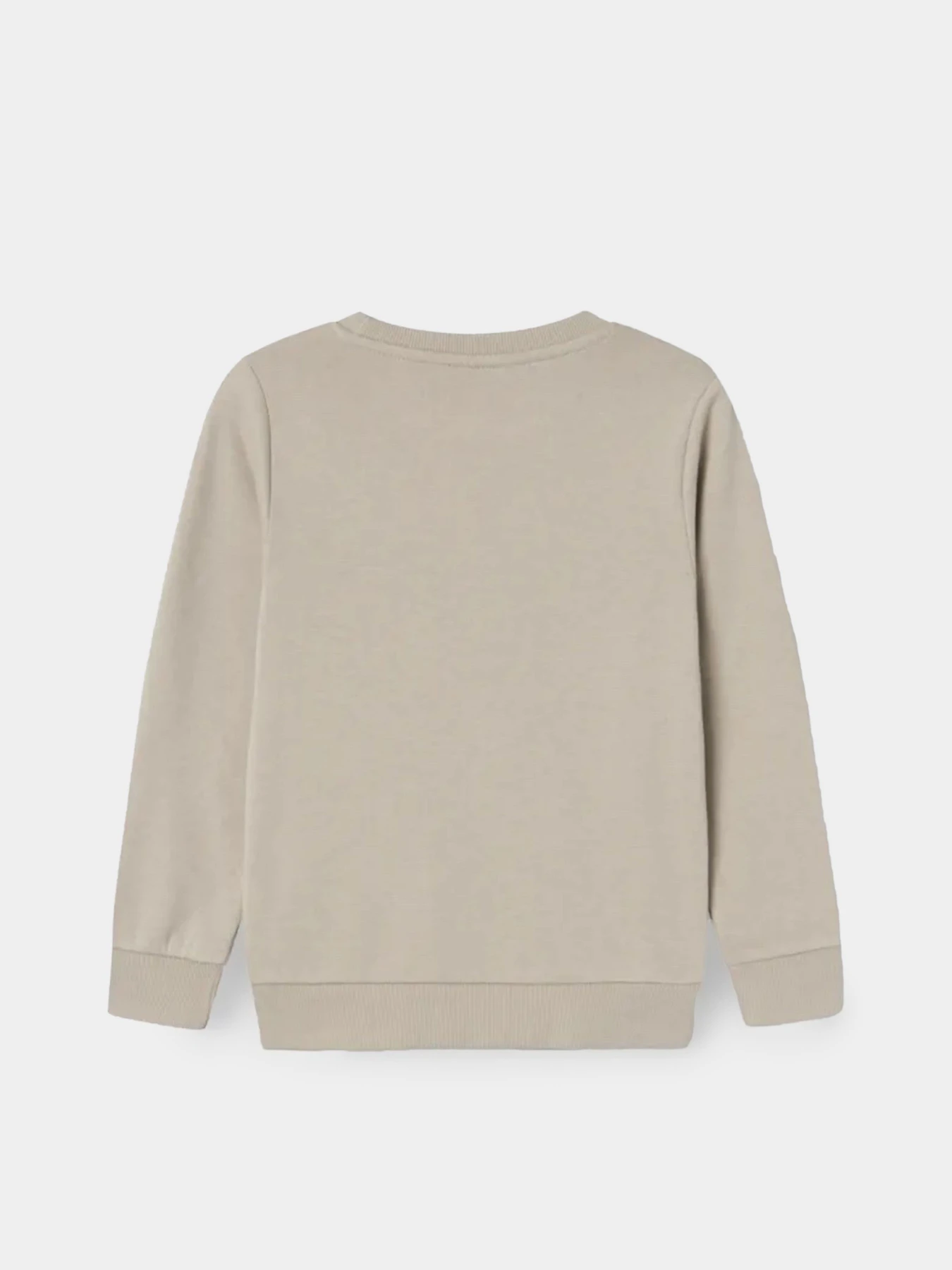 Худі та світшоти Name it модель 13220321_Pure Cashmere Фото