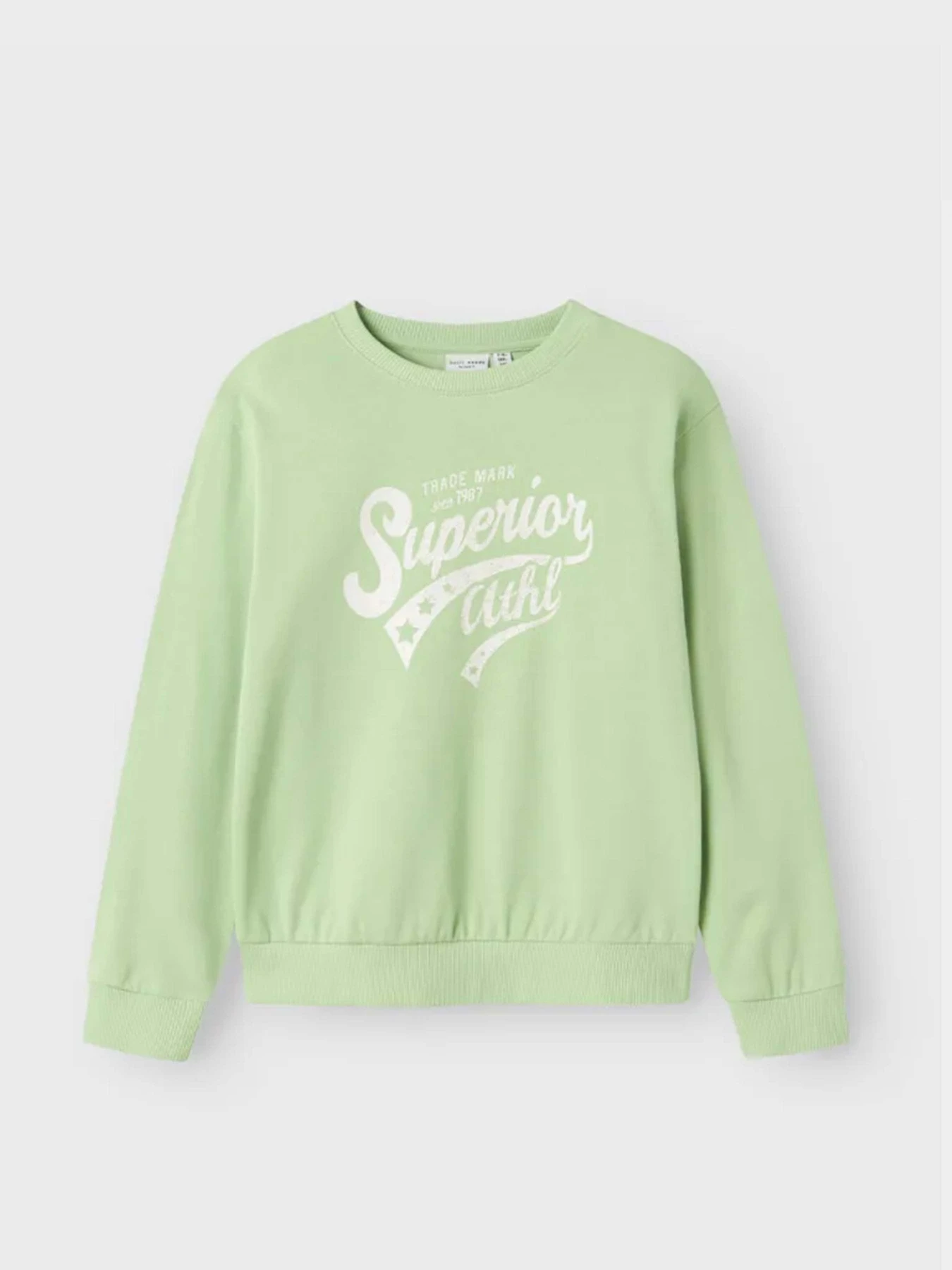 Худі та світшоти Name it модель 13240571_Arcadian Green Superior Худі та світшоти Name it модель 13240571_Arcadian Green Superior Фото