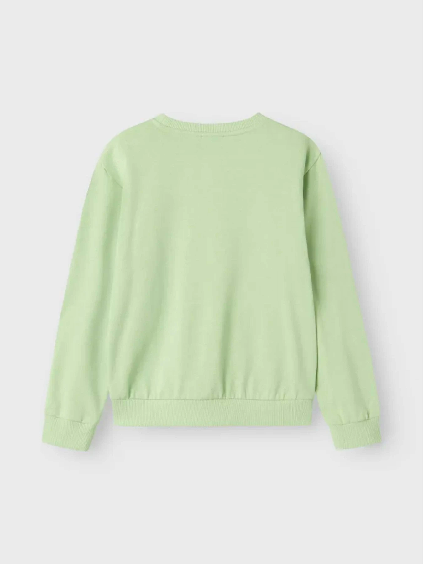 Худі та світшоти Name it модель 13240571_Arcadian Green Superior Худі та світшоти Name it модель 13240571_Arcadian Green Superior Фото