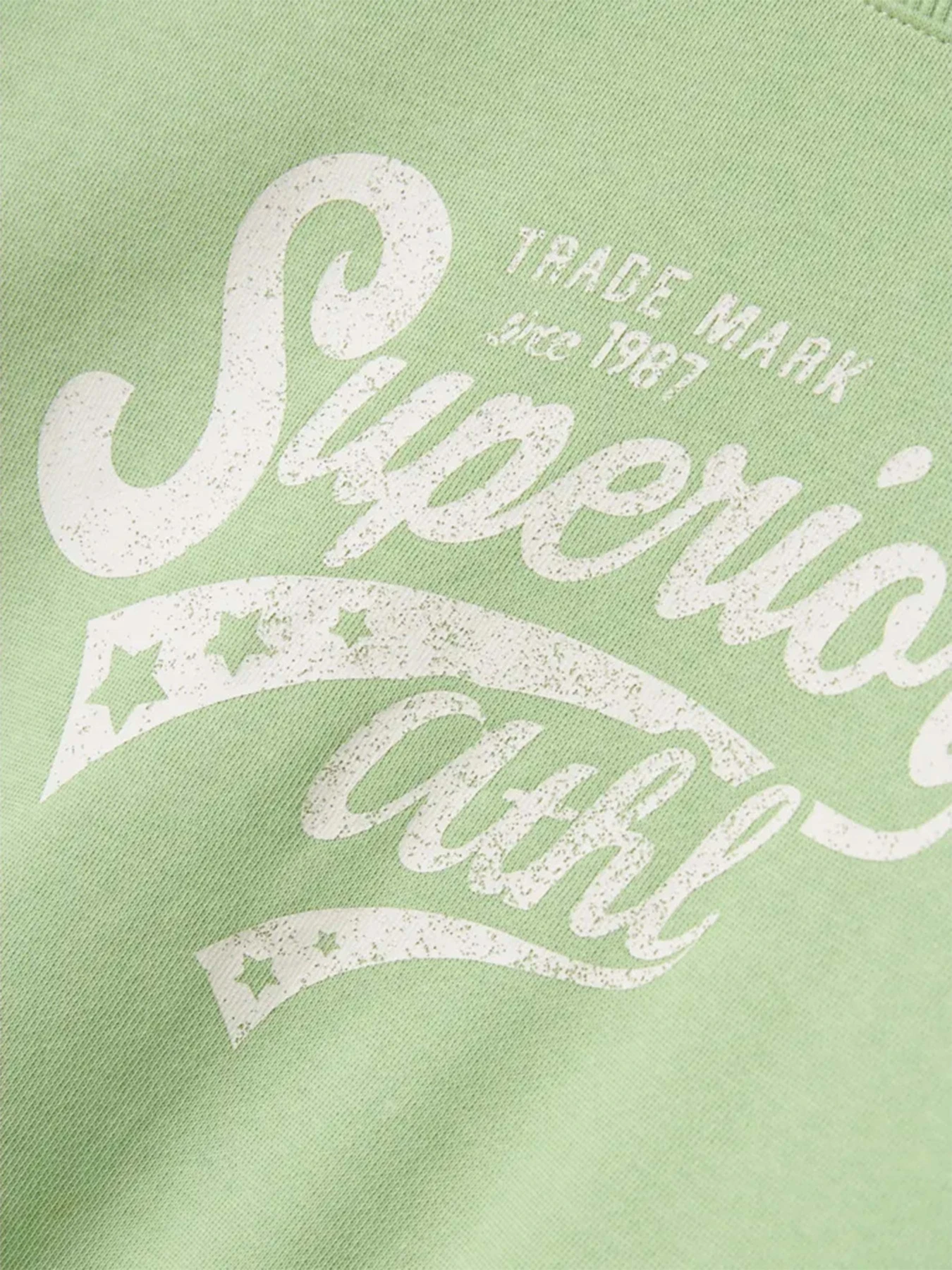 Худі та світшоти Name it модель 13240571_Arcadian Green Superior Худі та світшоти Name it модель 13240571_Arcadian Green Superior Фото