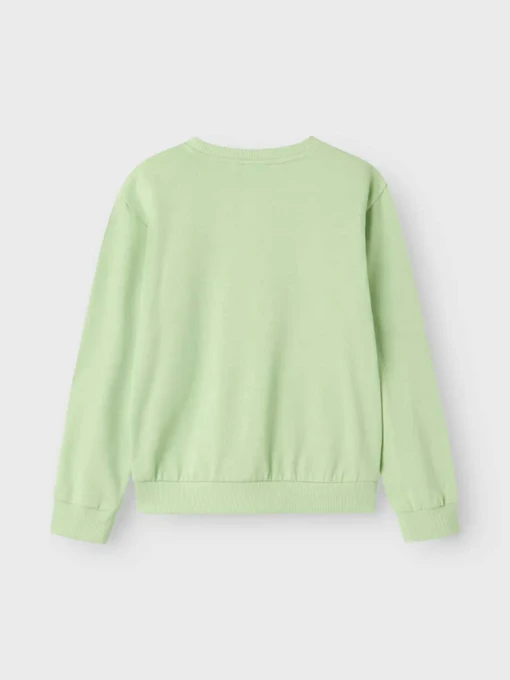 Худі та світшоти Name it модель 13240571_Arcadian Green Superior Фото