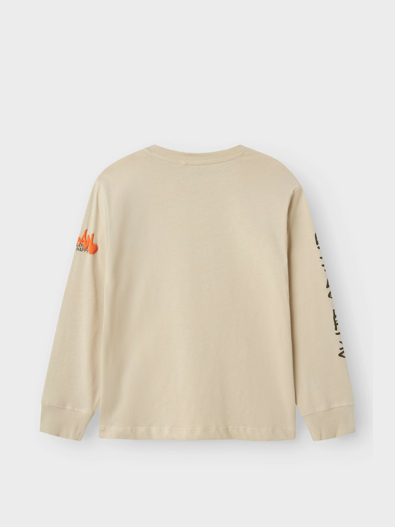 Худі та світшоти Name it LATIMER LS NREG TOP модель 13245373_Peyote Худі та світшоти Name it LATIMER LS NREG TOP модель 13245373_Peyote Фото