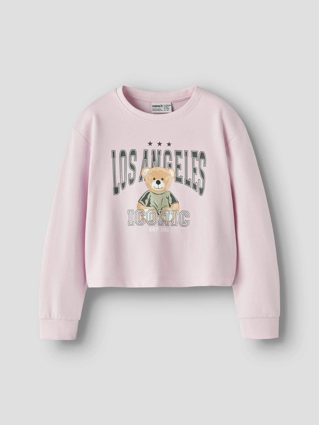 Худи и свитшоты Name it VANITA SHORT RLX SWEAT модель 13238413_Pirouette La Teddy Фото