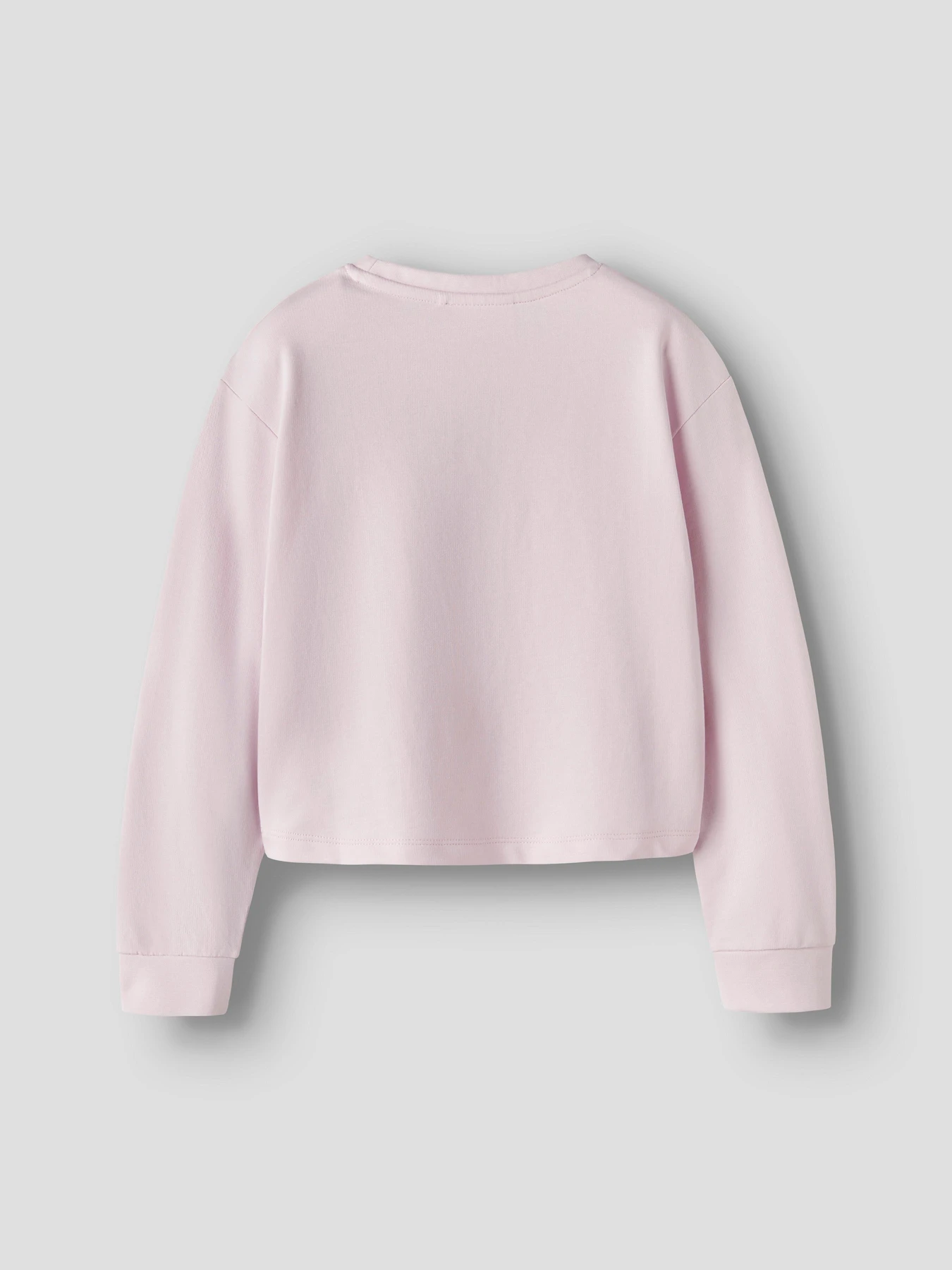Худи и свитшоты Name it VANITA SHORT RLX SWEAT модель 13238413_Pirouette La Teddy Фото