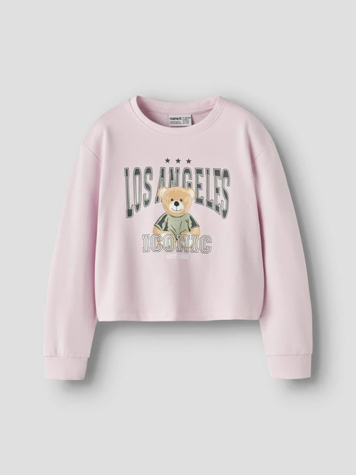 Худи и свитшоты Name it VANITA SHORT RLX SWEAT модель 13238413_Pirouette La Teddy Фото