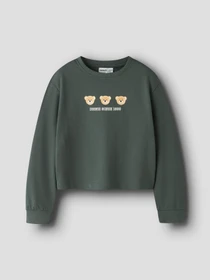 Худи и свитшоты Name it VANITA SHORT RLX SWEAT модель 13238413_Urban Chic Iconic Teddy Фото
