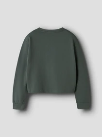 Худи и свитшоты Name it VANITA SHORT RLX SWEAT модель 13238413_Urban Chic Iconic Teddy Фото