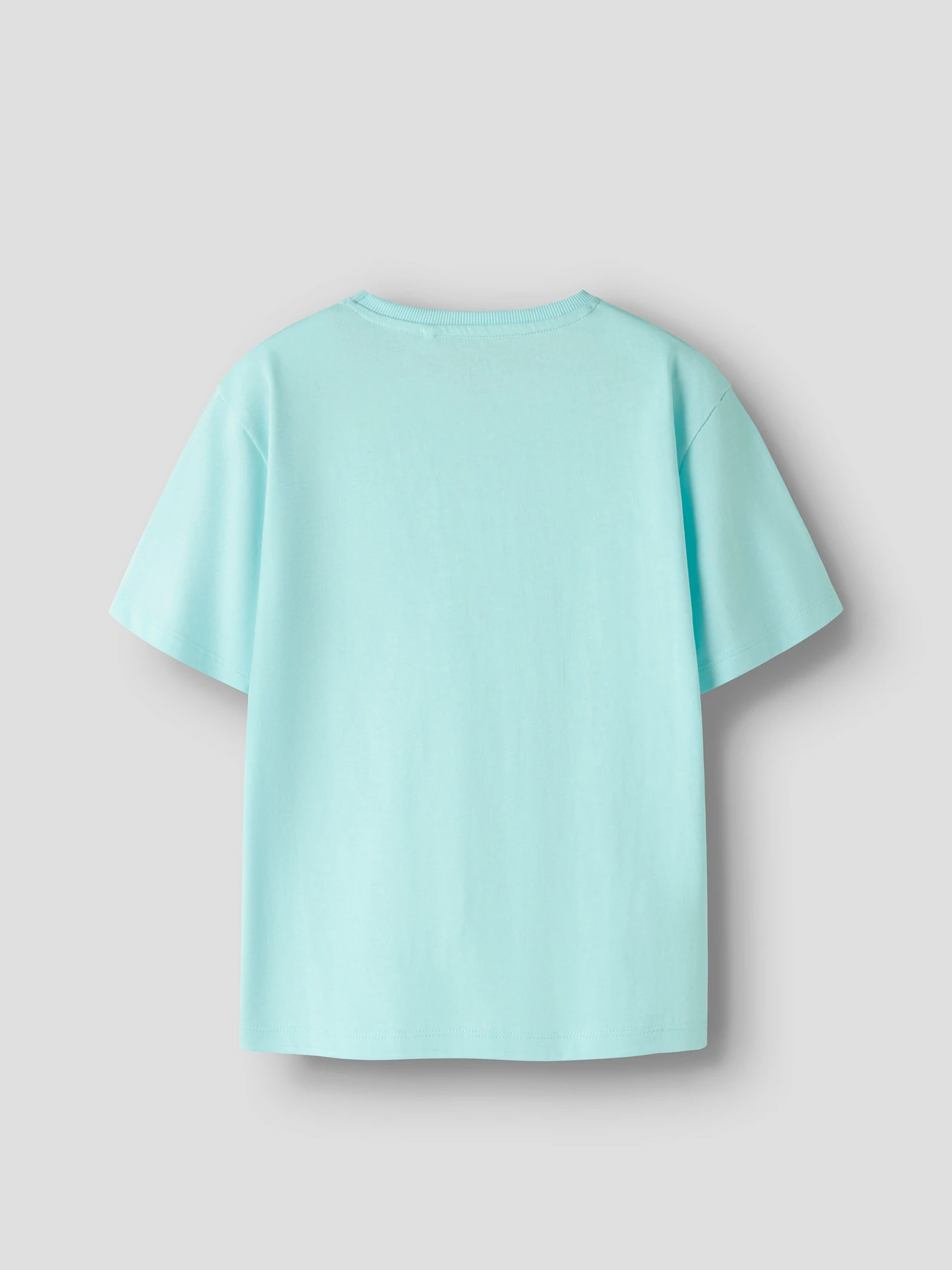 Футболки и поло Name it VAGNO SS LOOSE TOP модель 13224966_Limpet Shell Skeleton Surf Фото