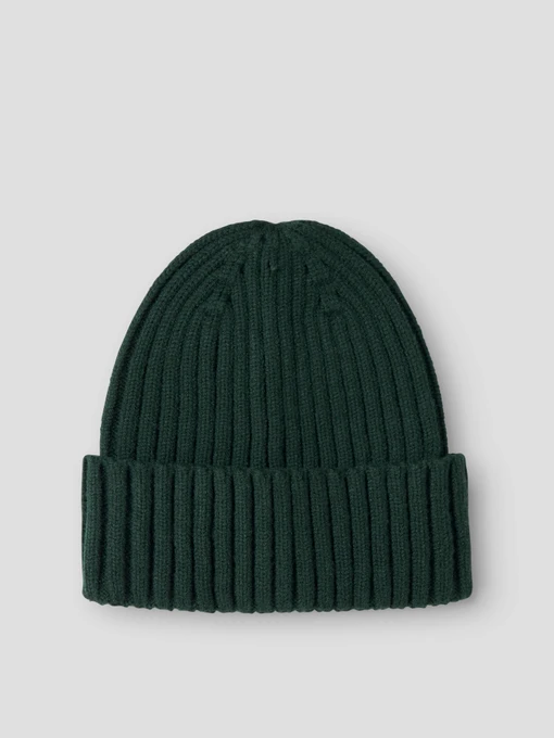 Шапки та кепки Name it MAB BEANIE TB модель 13245558_Pine Grove Фото